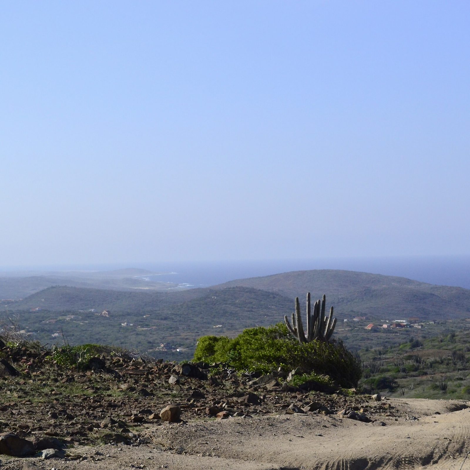 Rugged cactus-covered desert landscape inside Arikok National Park, Aruba