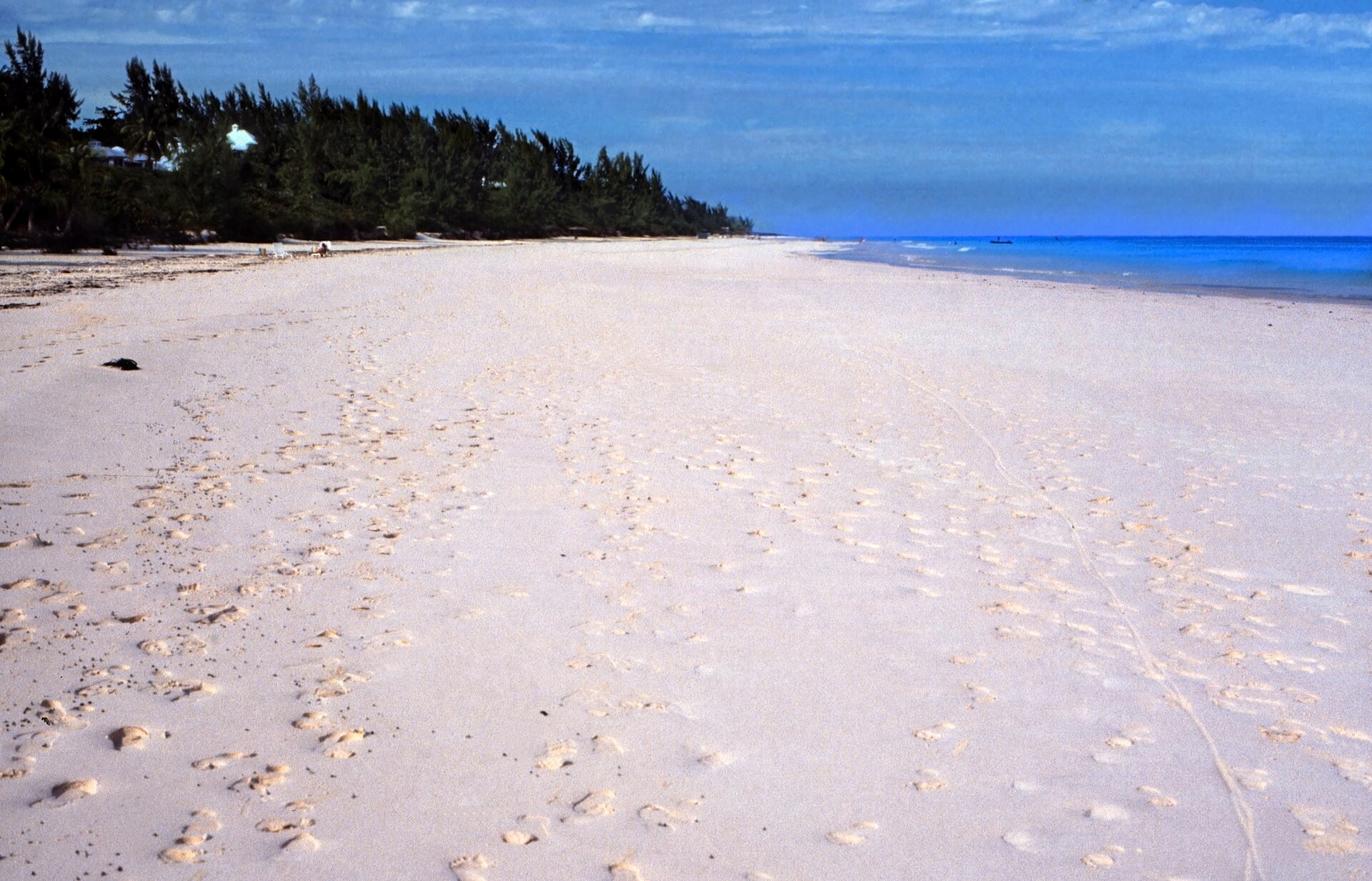 Pink sand beach on Harbour Island, Eleuthera, Bahamas