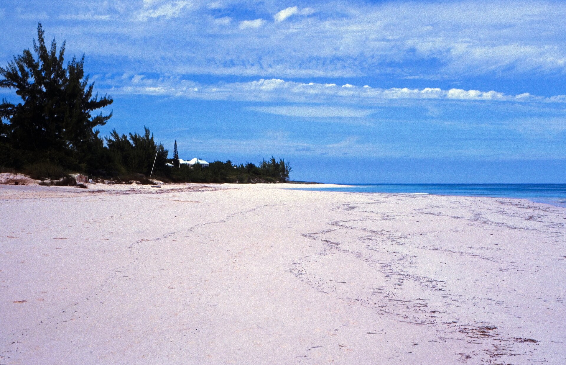 Coastline of Harbour Island, Eleuthera, Bahamas