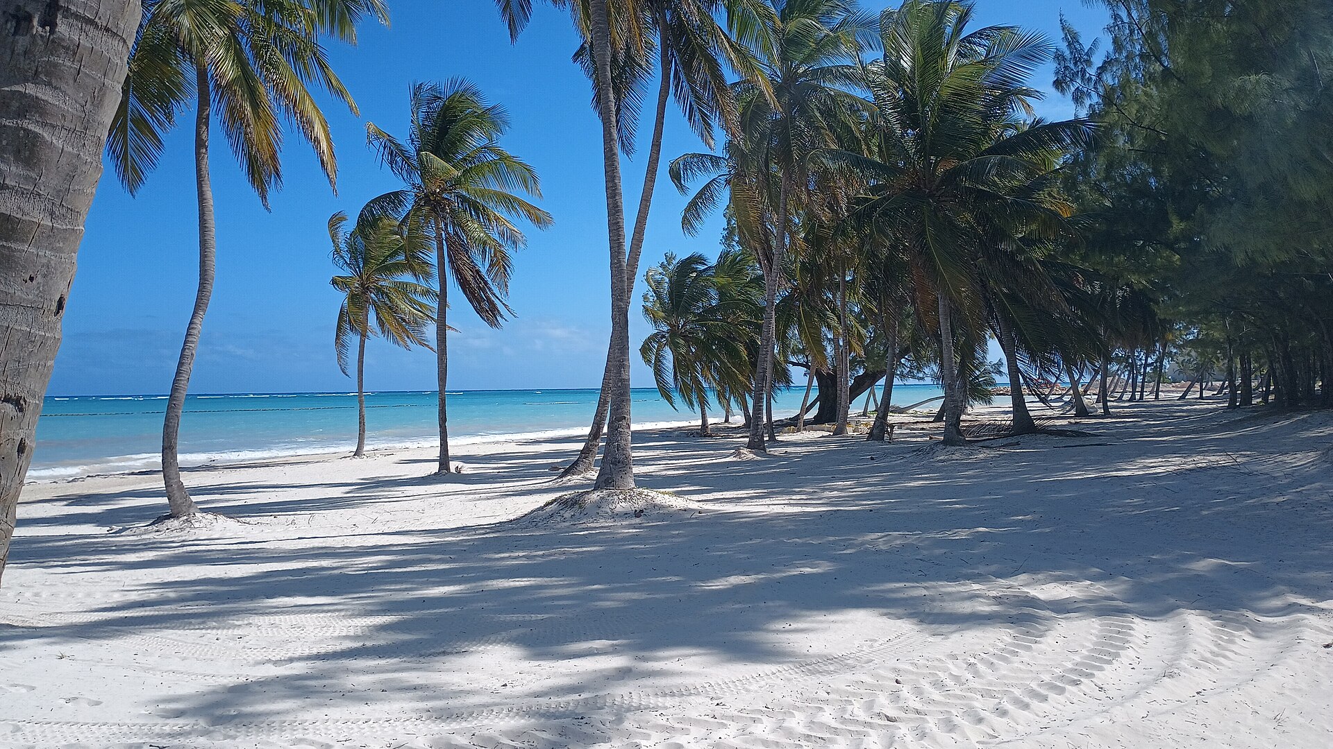 A quiet beach near Cap Cana on the Dominican Republic's eastern coast