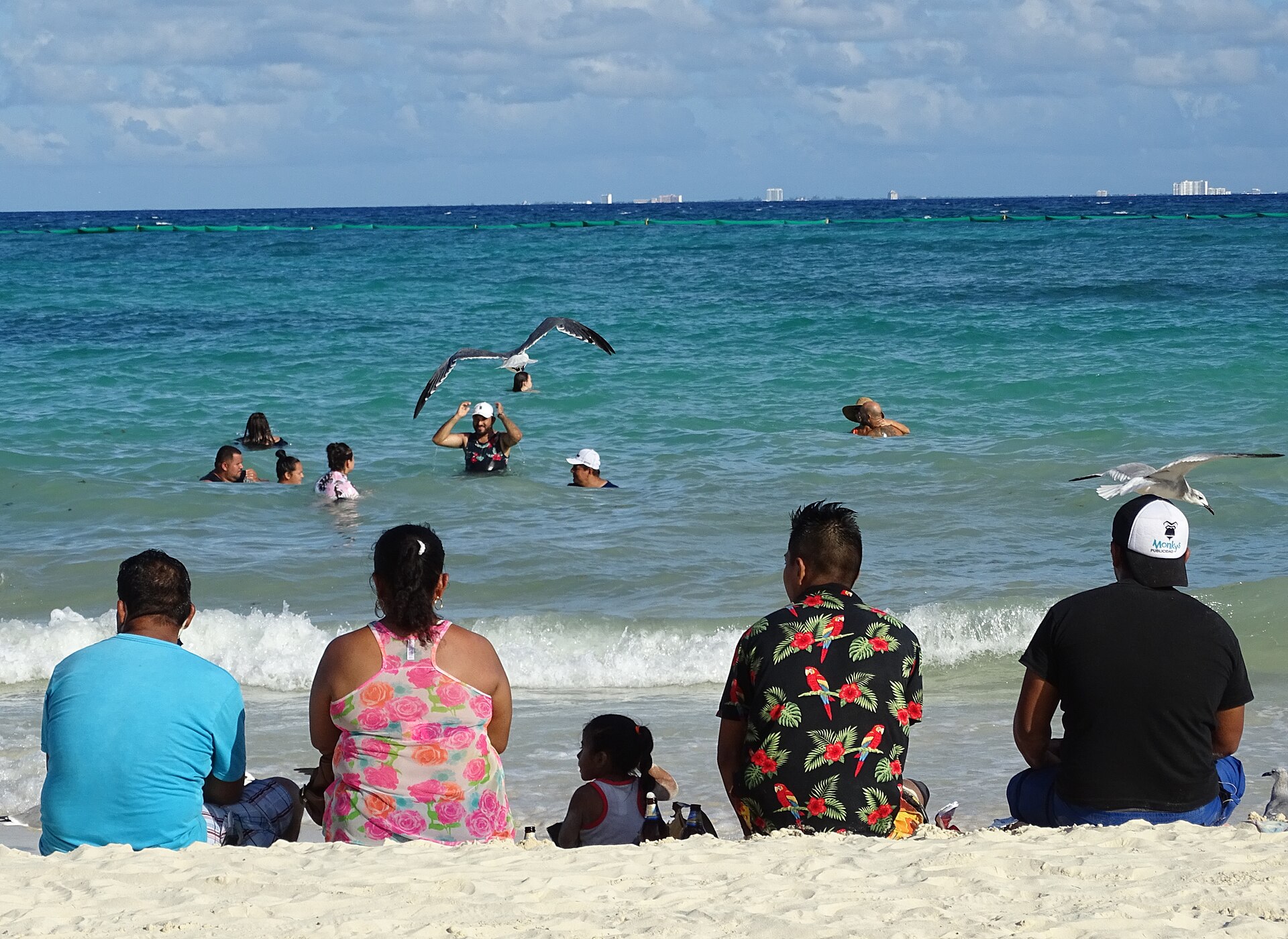 Beach at Playa del Carmen with seagulls along the shoreline