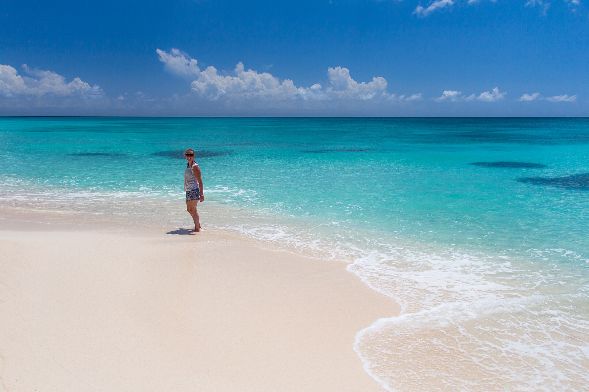Palm-lined shoreline of Isla Saona off the southeastern coast of the Dominican Republic