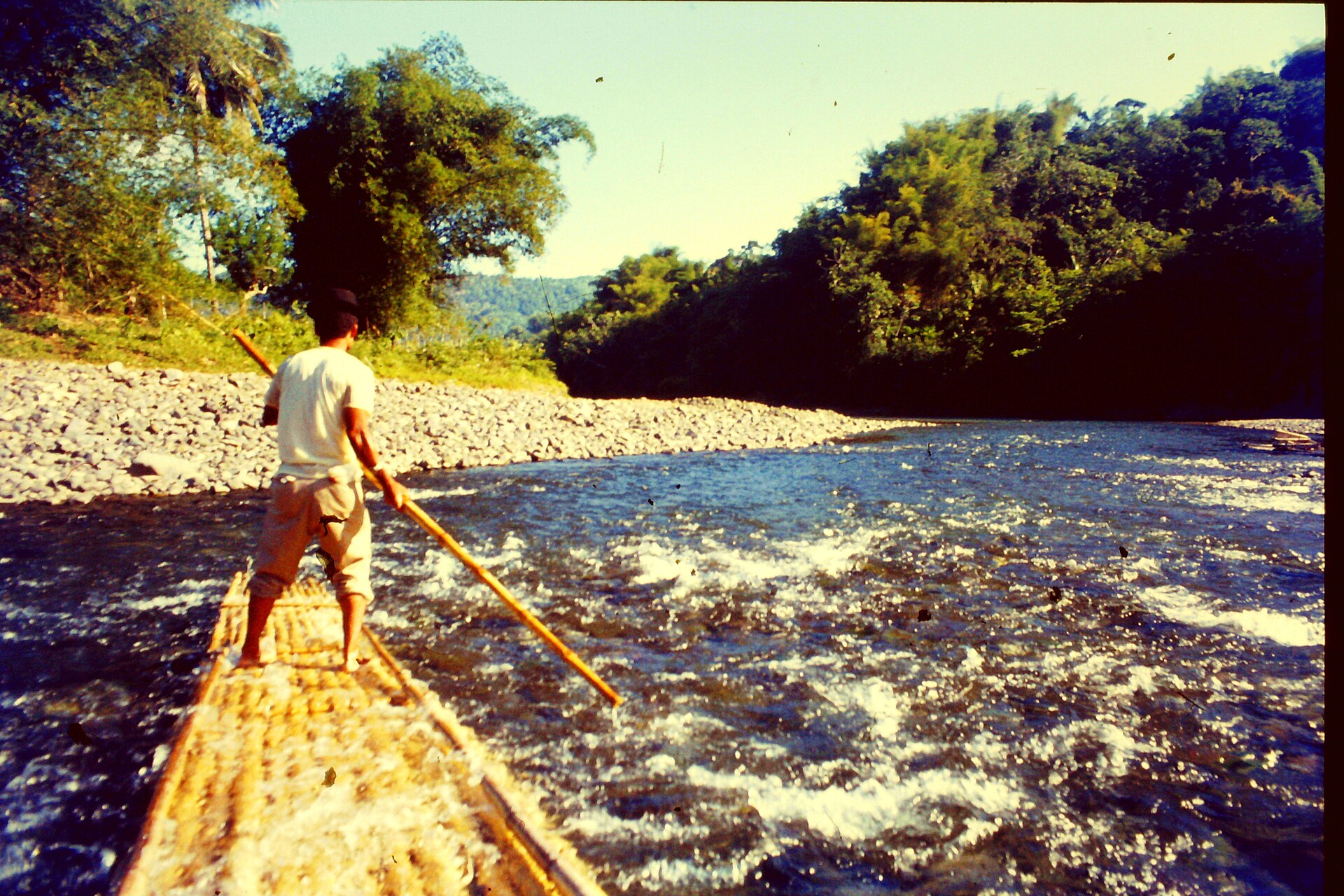 A bamboo raft being poled down the Rio Grande river in Portland, Jamaica