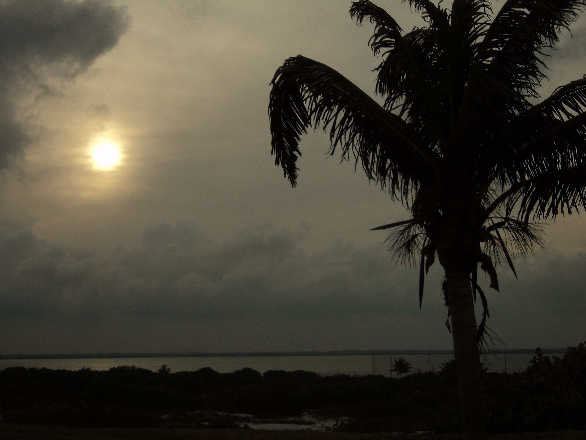 View of the Nichupté Lagoon from Playa Delfines in Cancún