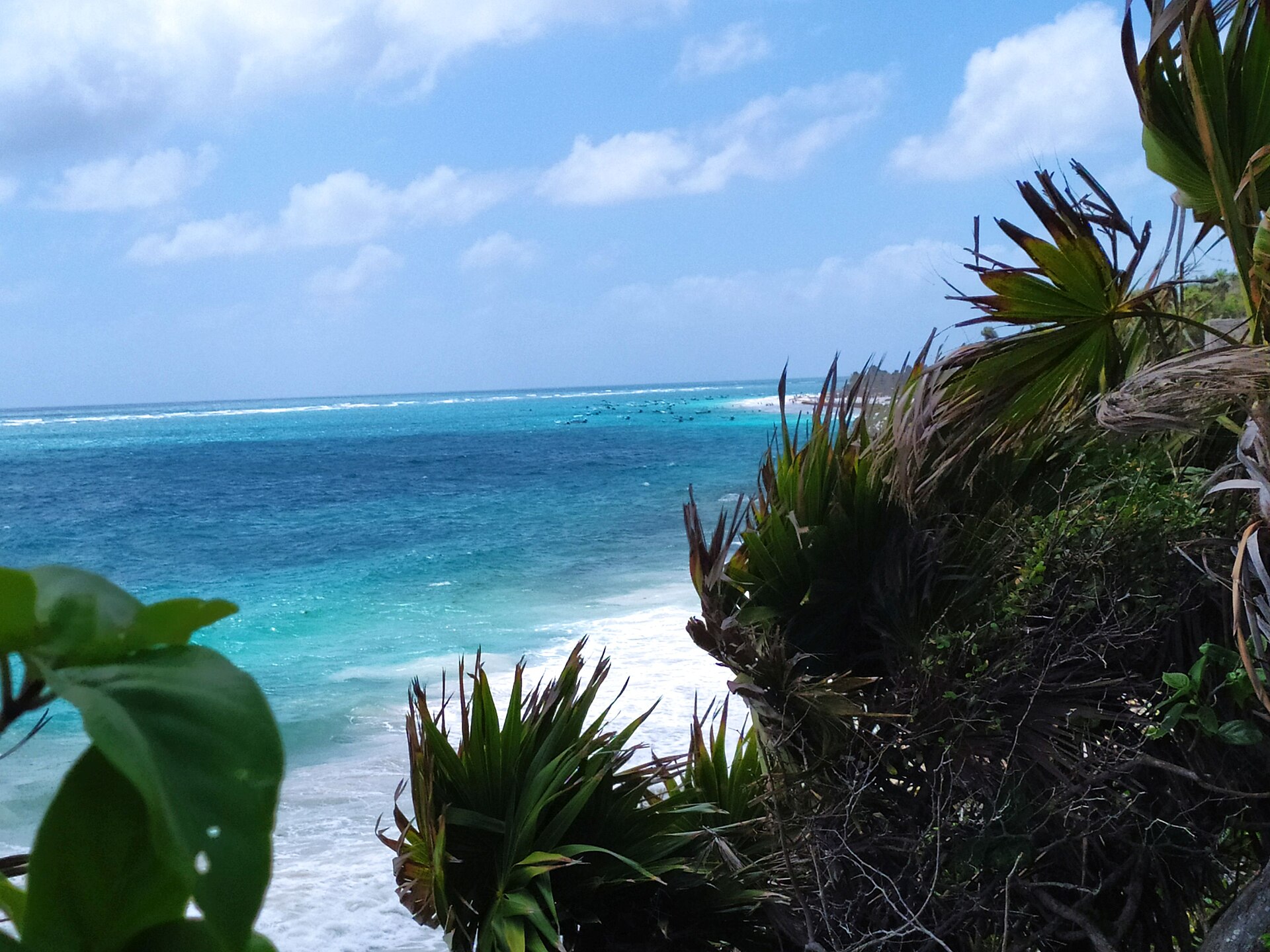 Palm trees and white sand along the beach near Tulum