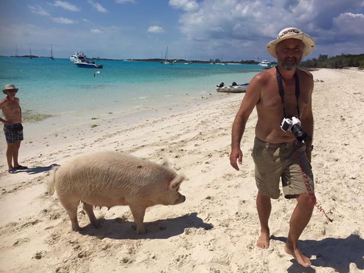 Tourists on a boat visiting the swimming pigs of Exuma, Bahamas