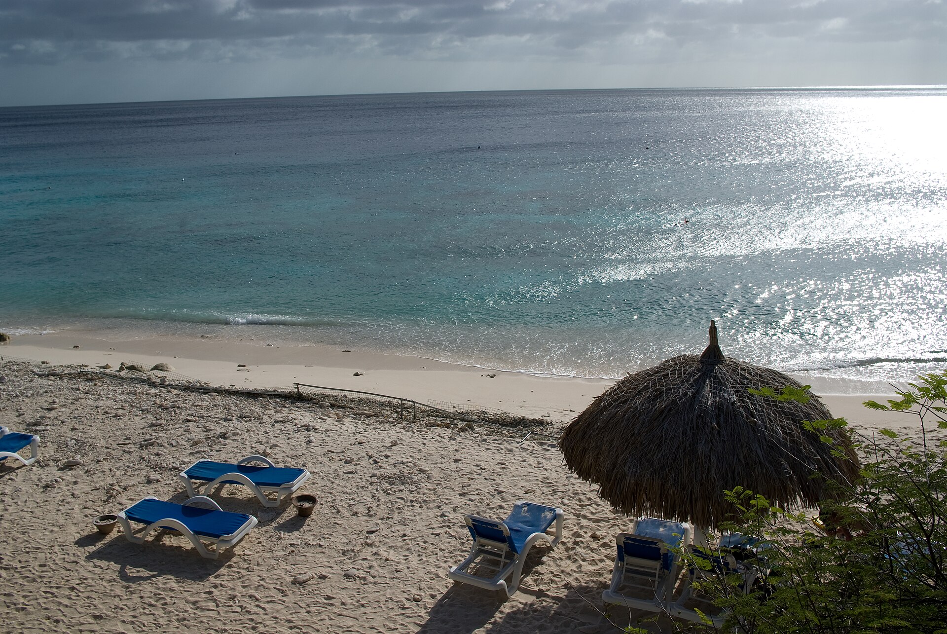 Snorkelers and divers at Playa Kalki, a cove on Curaçao's west coast known for reef access